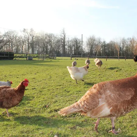 Domaine Des Pieris - Et Ferienhaus Grandcamp-Maisy