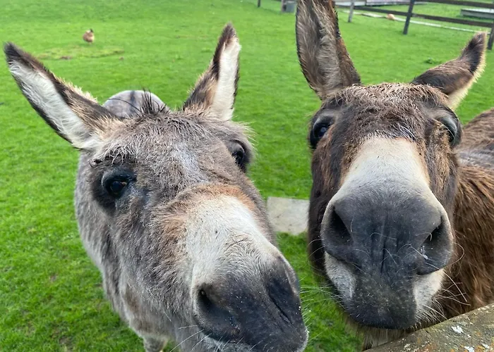 Domaine Des Piéris - Et * Grandcamp-Maisy