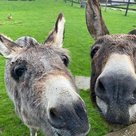 Domaine Des Piéris - Et * Grandcamp-Maisy