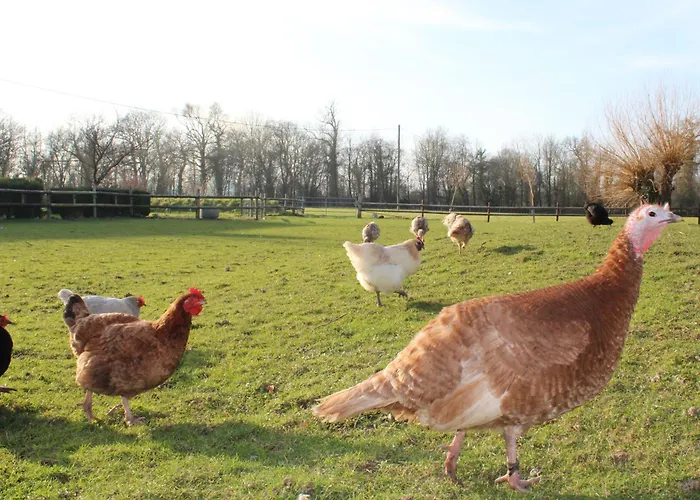 Domaine Des Pieris - Et Holiday home Grandcamp-Maisy